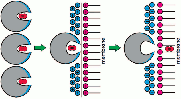 Figure 13