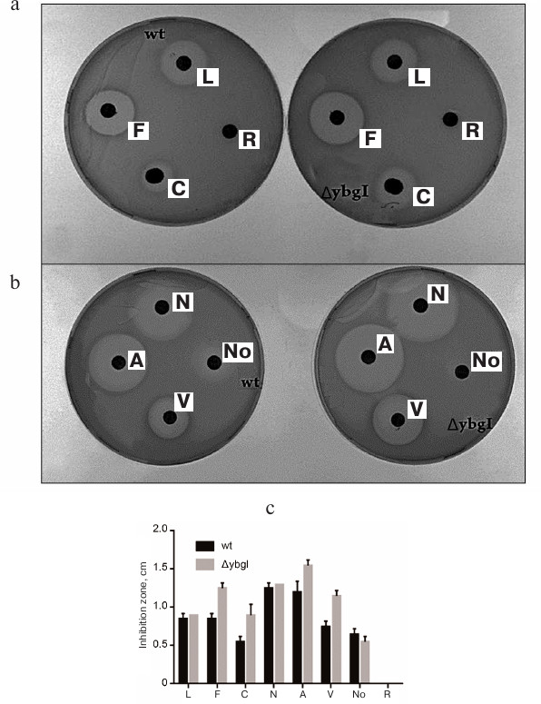 Figure 9