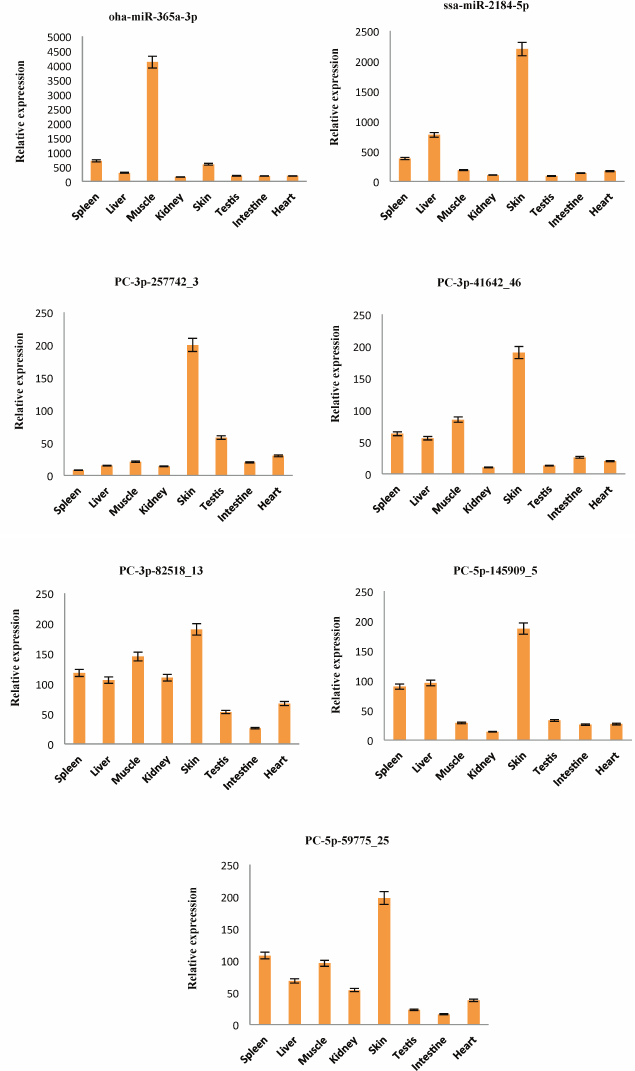 Figure 4b