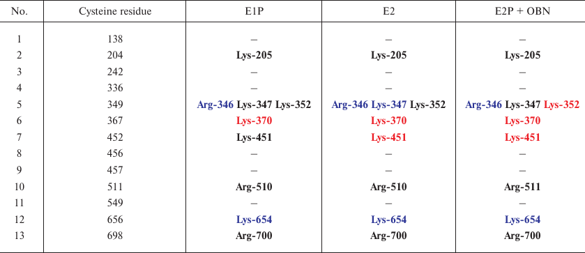 TABLE 3