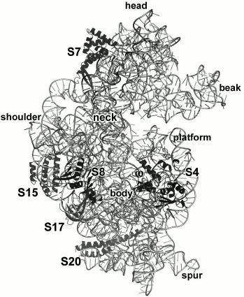 Figure 16