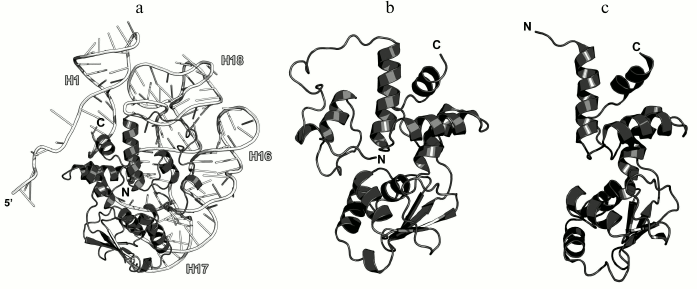 Figure 17