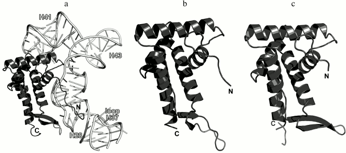 Figure 18