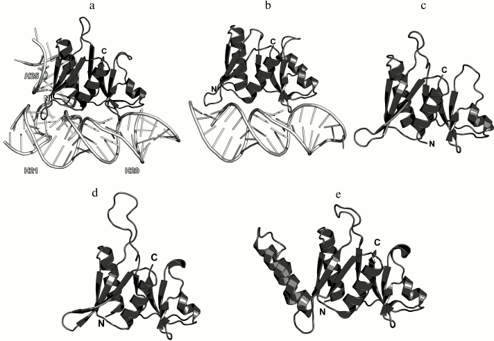 Figure 19