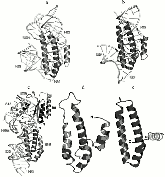 Figure 20