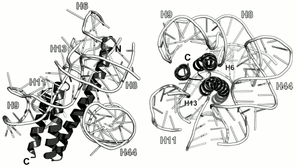 Figure 22