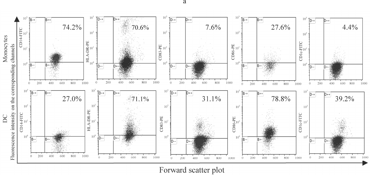 Figure 1a