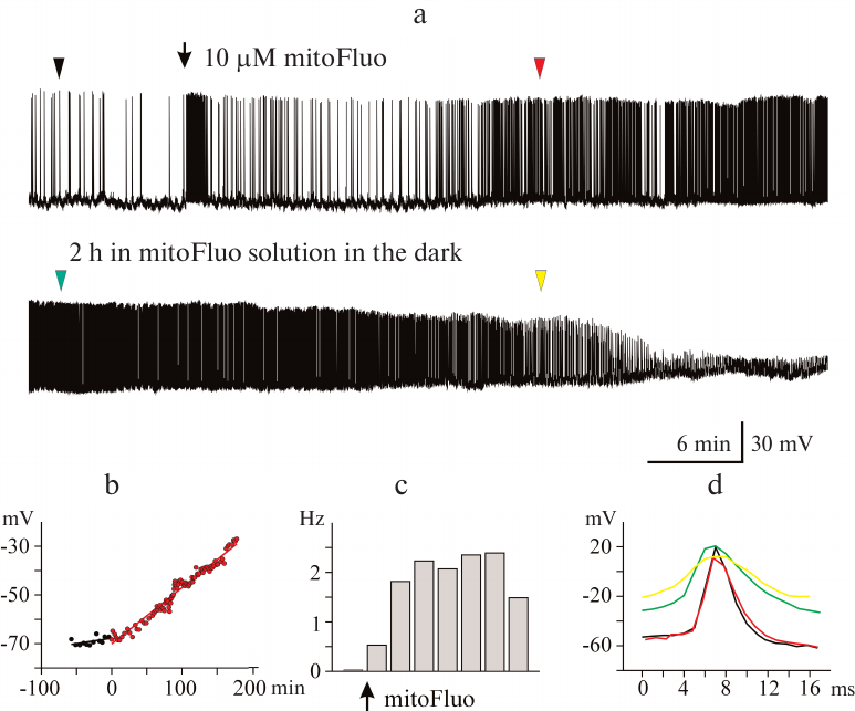 Figure 4