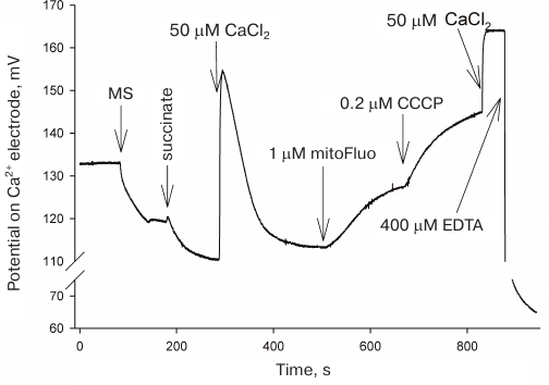 Figure 5