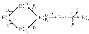 Eq. 3