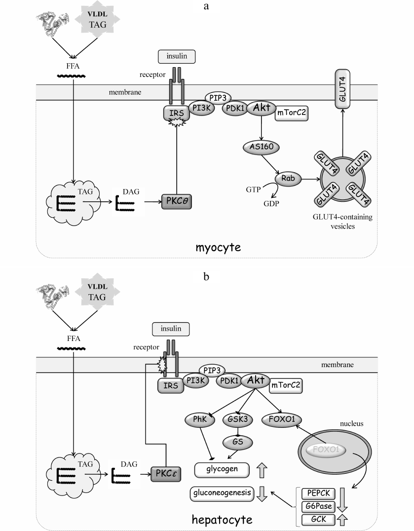 Figure 3a