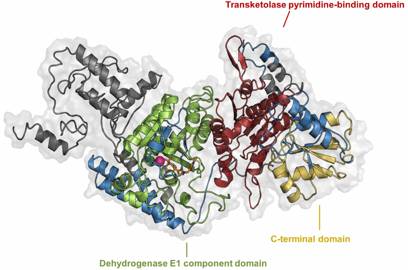 Figure 4