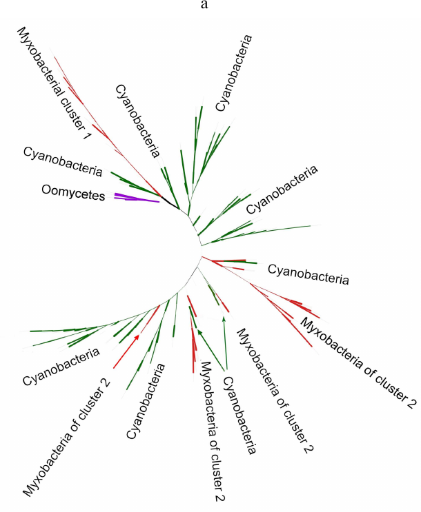 Figure 5a