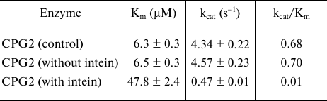 TABLE 2