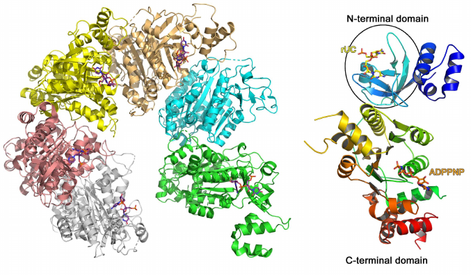 Figure 5