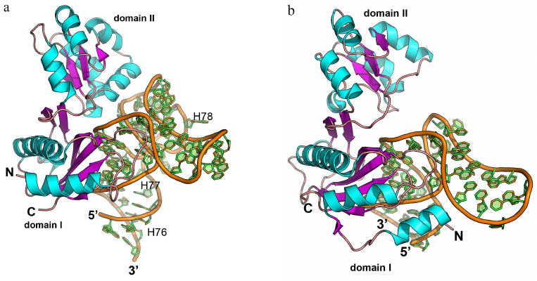 Figure 9